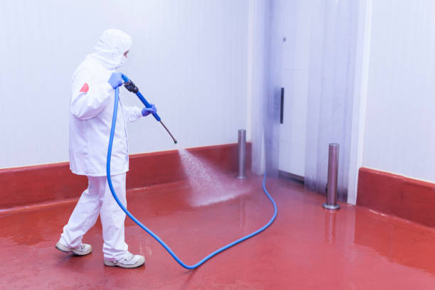 Reliable Doctor Phillips, FL Pressure Washing Services Solutions