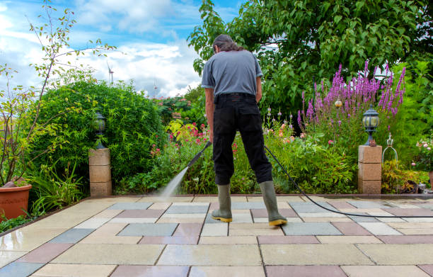 Best Winterizing Services  in Doctor Phillips, FL
