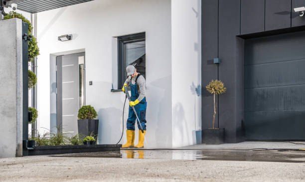 Best Graffiti Removal  in Doctor Phillips, FL